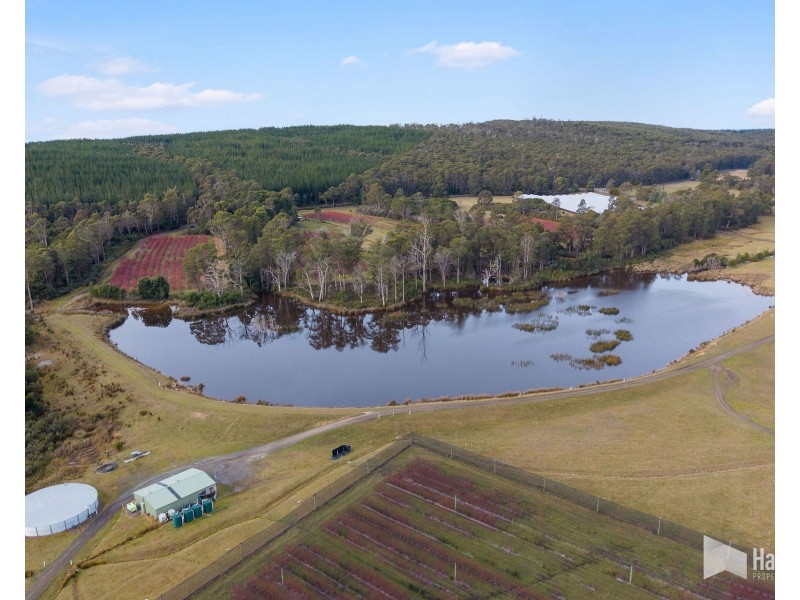 46 Short Cut Road, Lebrina TAS 7254