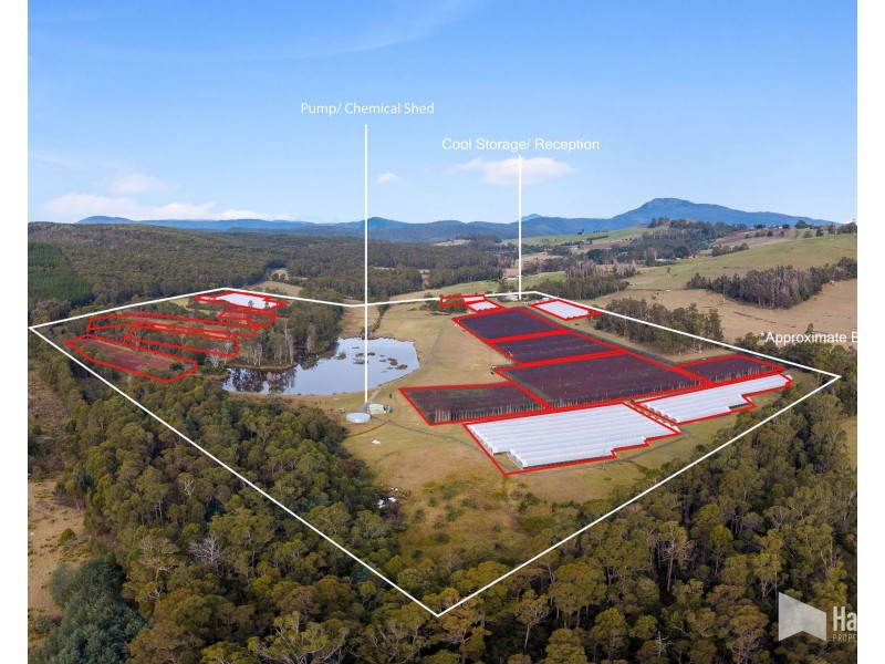 46 Short Cut Road, Lebrina TAS 7254