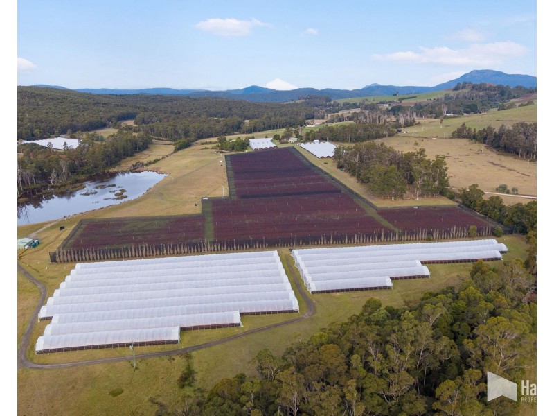 46 Short Cut Road, Lebrina TAS 7254