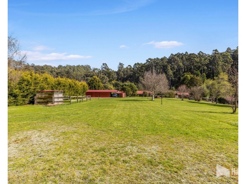 38  Winifred Avenue, Acacia Hills TAS 7306