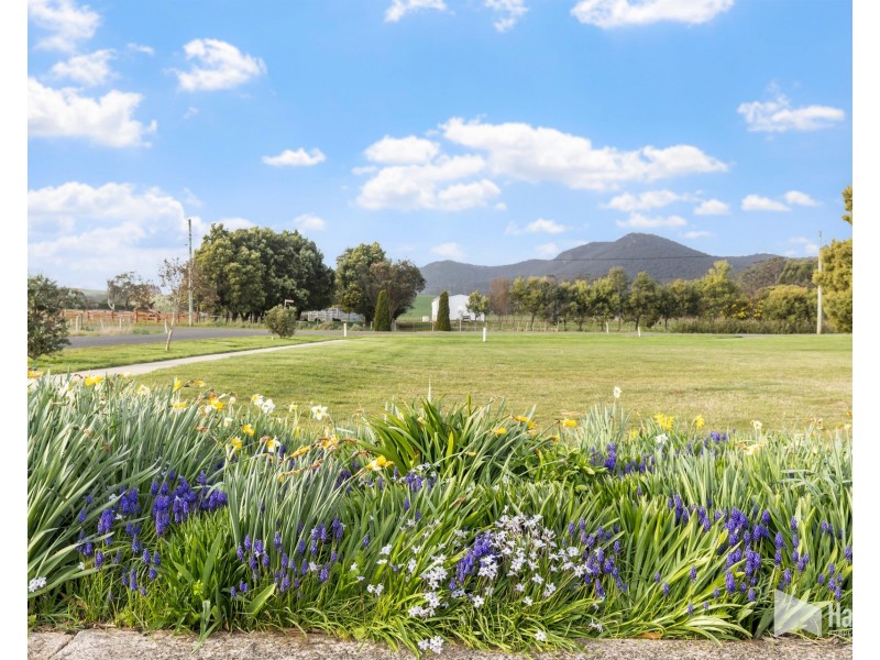 22 Henry Street, Sheffield TAS 7306