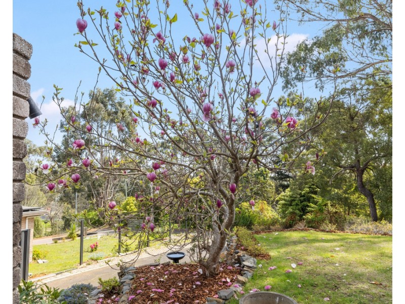 67 Don Road, Devonport TAS 7310