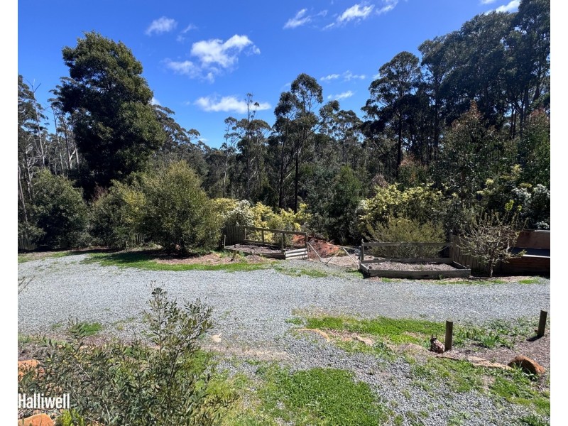 4 North Street, Elizabeth Town TAS 7304