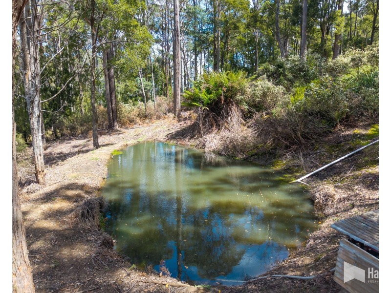 451 Bradys Plain Road, Parkham TAS 7304