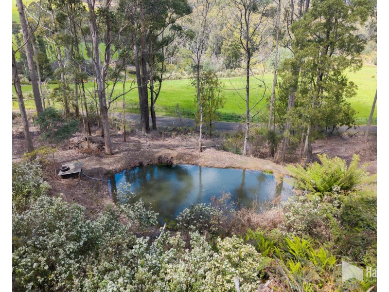 451 Bradys Plain Road, Parkham TAS 7304