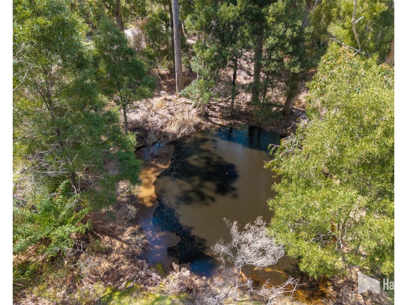 451 Bradys Plain Road, Parkham TAS 7304