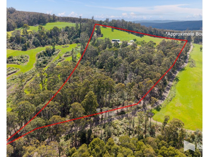 451 Bradys Plain Road, Parkham TAS 7304
