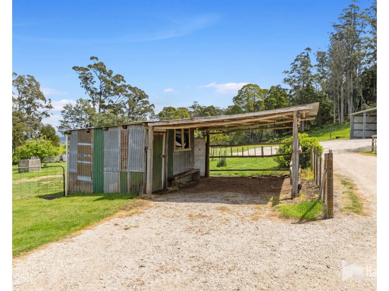 451 Bradys Plain Road, Parkham TAS 7304