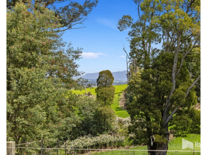 451 Bradys Plain Road, Parkham TAS 7304