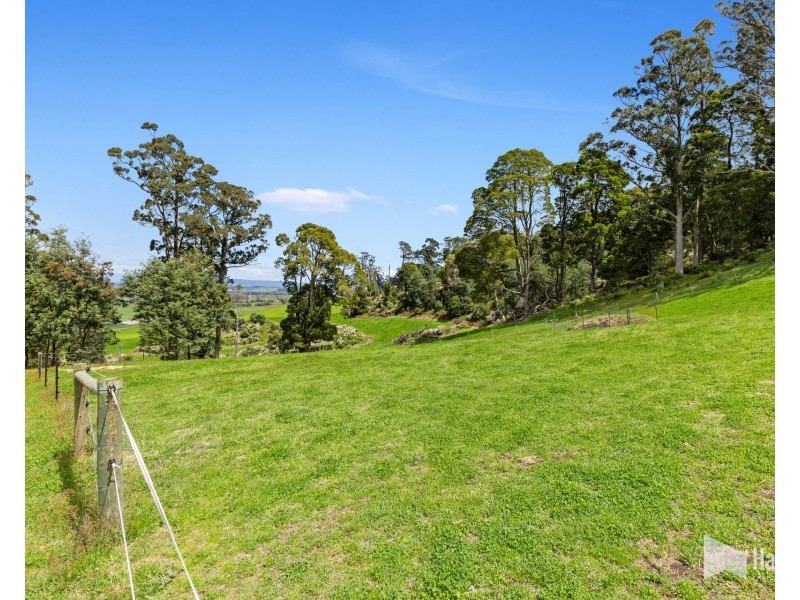 451 Bradys Plain Road, Parkham TAS 7304