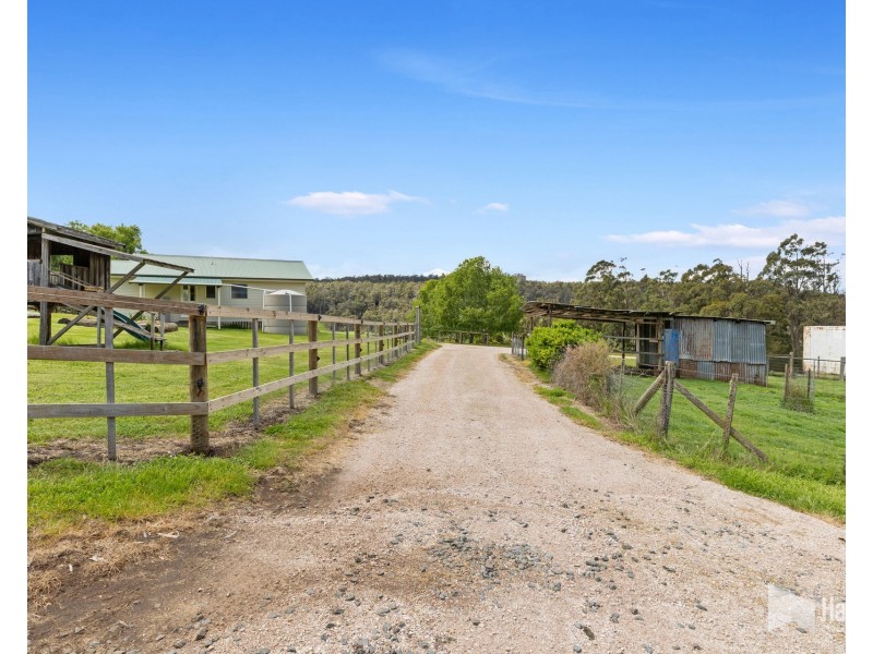451 Bradys Plain Road, Parkham TAS 7304