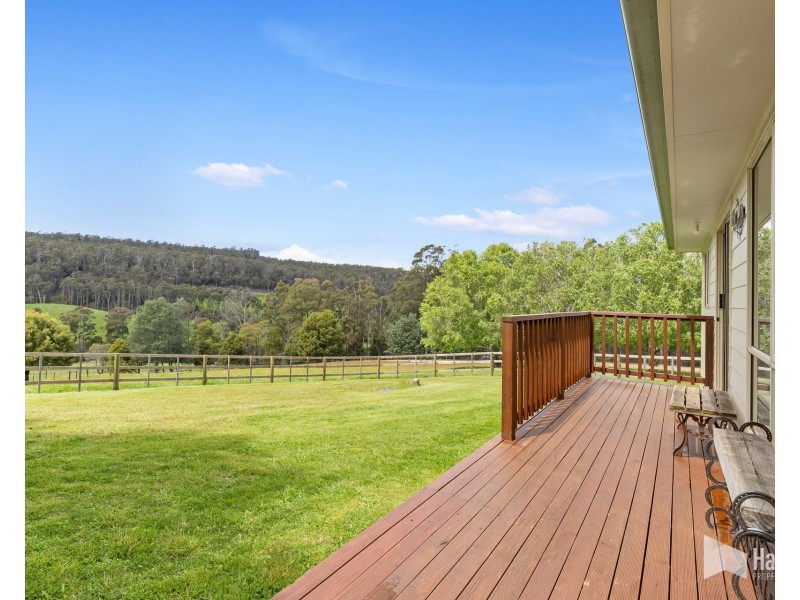 451 Bradys Plain Road, Parkham TAS 7304