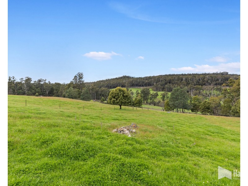 451 Bradys Plain Road, Parkham TAS 7304