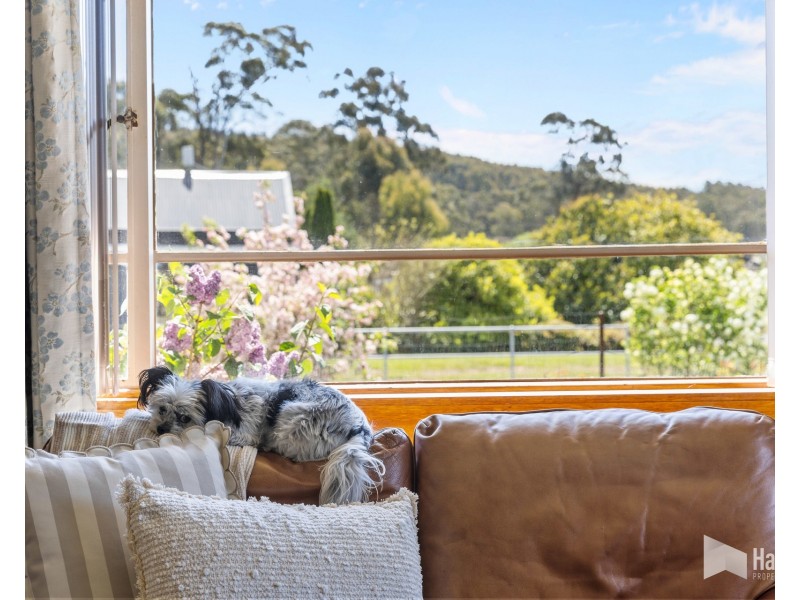 43 Morrison Street, Railton TAS 7305