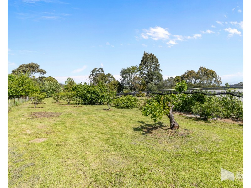 43 Morrison Street, Railton TAS 7305