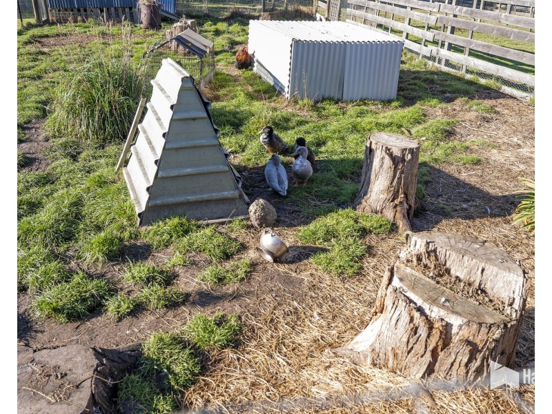 35 Watsons Road, Northdown TAS 7307