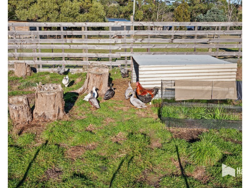 35 Watsons Road, Northdown TAS 7307