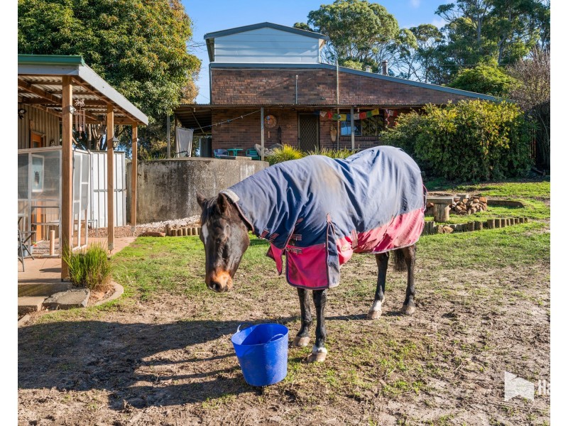 35 Watsons Road, Northdown TAS 7307