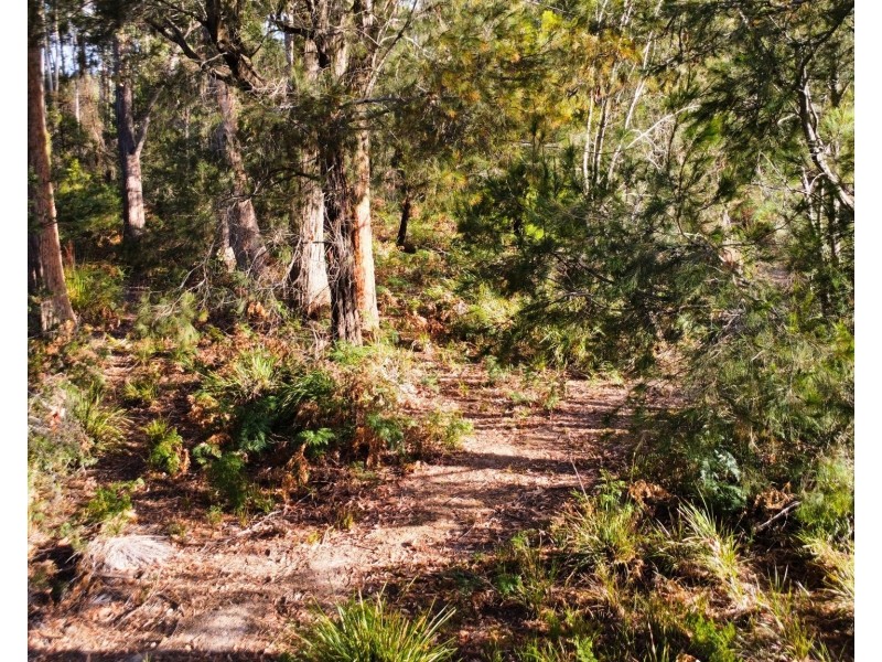 35 Watsons Road, Northdown TAS 7307