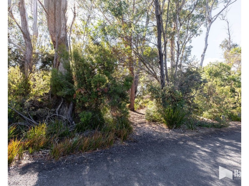 15 Squeaking Point Esplanade, Squeaking Point TAS 7307