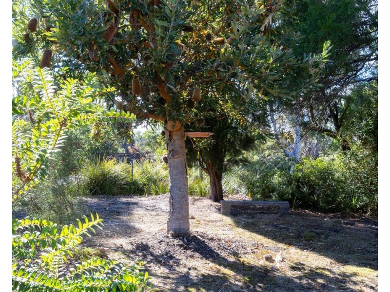 15 Squeaking Point Esplanade, Squeaking Point TAS 7307