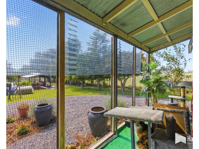 498 Sunnyside Road, Sunnyside TAS 7305