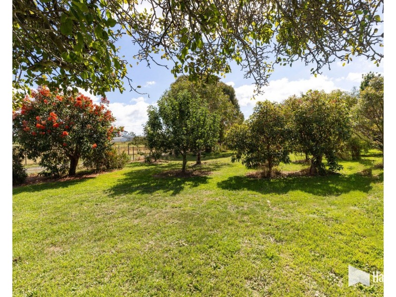 498 Sunnyside Road, Sunnyside TAS 7305