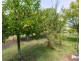 498 Sunnyside Road, Sunnyside TAS 7305