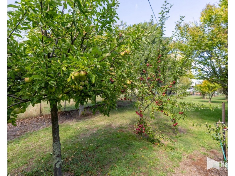 498 Sunnyside Road, Sunnyside TAS 7305