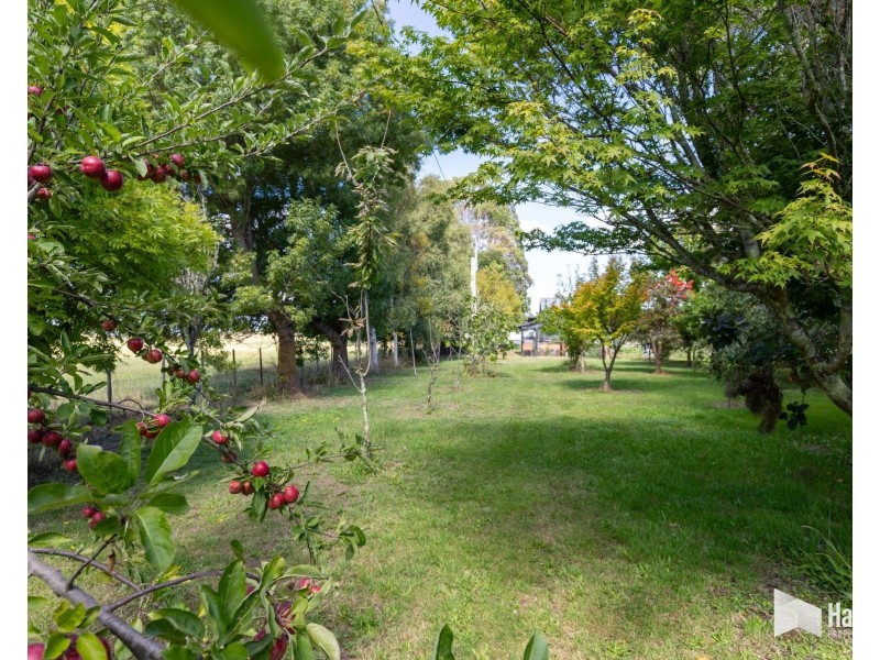 498 Sunnyside Road, Sunnyside TAS 7305