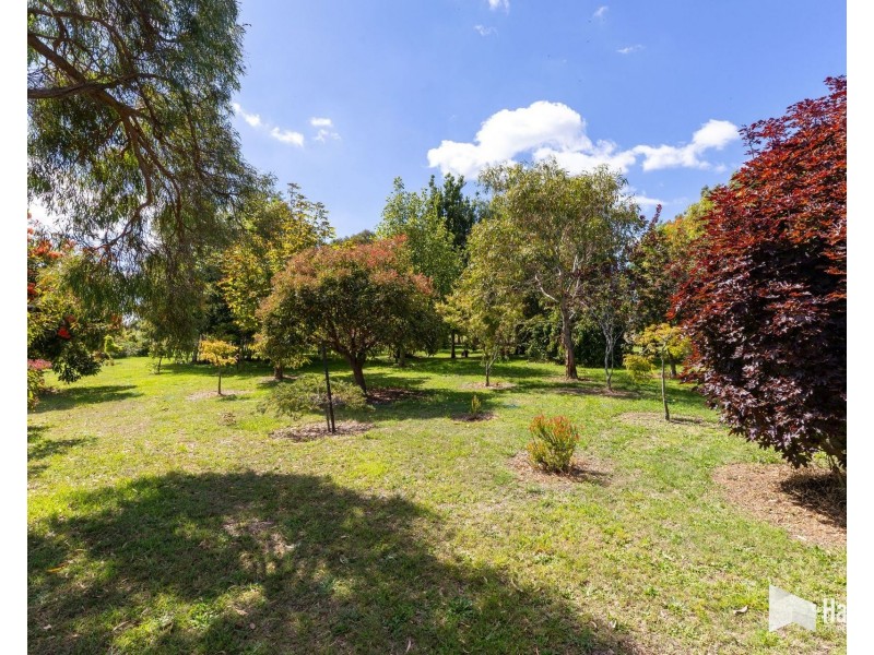 498 Sunnyside Road, Sunnyside TAS 7305