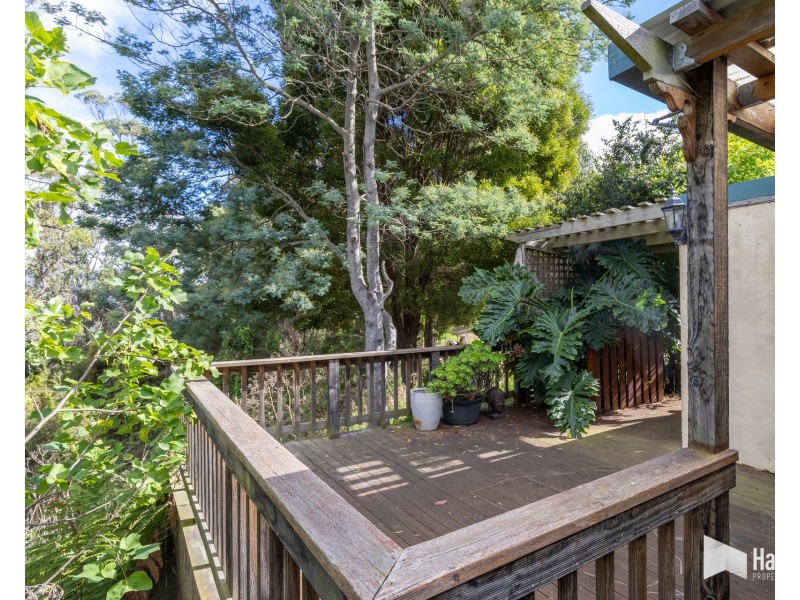 91 Lochner Street, Latrobe TAS 7307