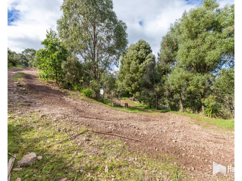 91 Lochner Street, Latrobe TAS 7307