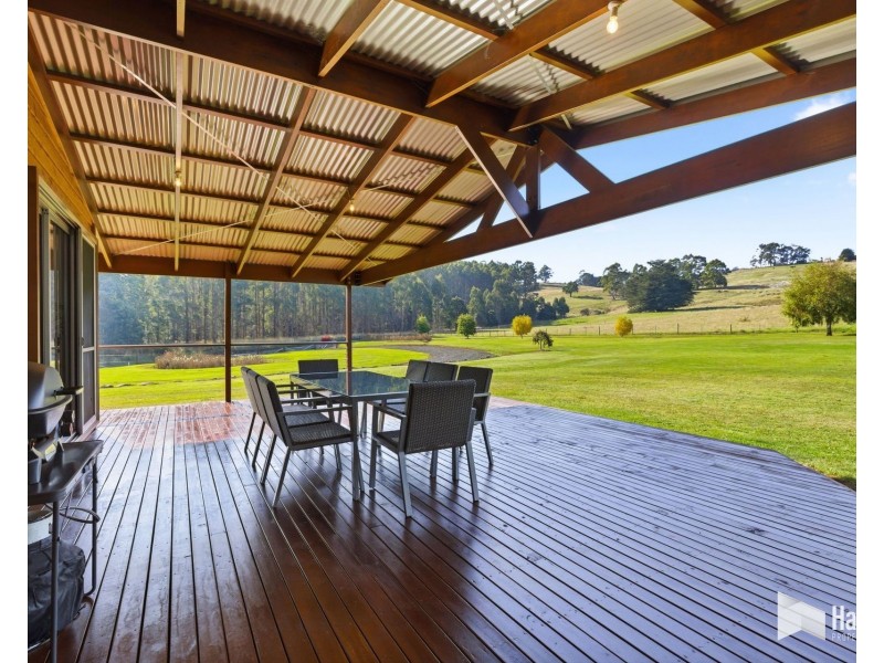 95 Back Road, Lower Wilmot TAS 7310