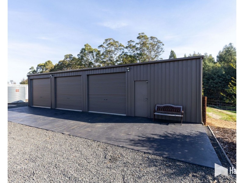 95 Back Road, Lower Wilmot TAS 7310