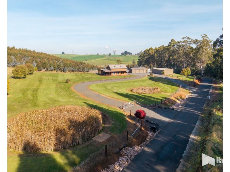 95 Back Road, Lower Wilmot TAS 7310