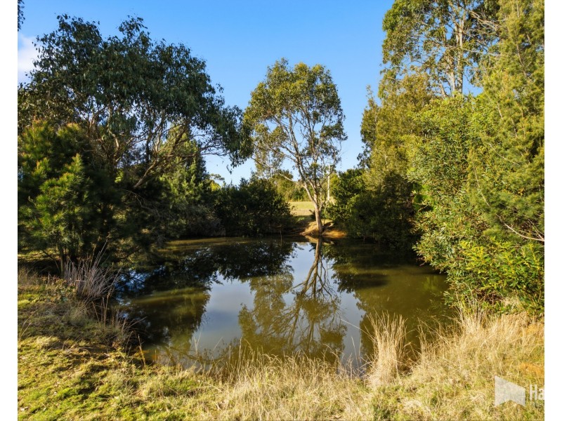 25 Springfield Park Road, Northdown TAS 7307