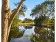 25 Springfield Park Road, Northdown TAS 7307