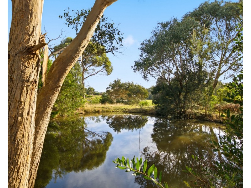 25 Springfield Park Road, Northdown TAS 7307