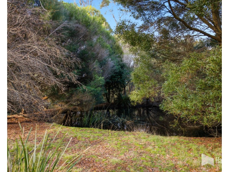 25 Springfield Park Road, Northdown TAS 7307