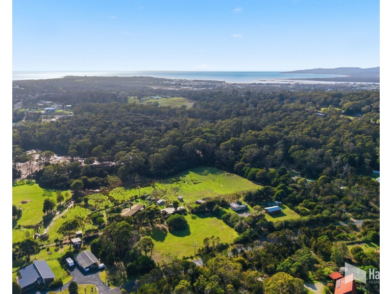 25 Springfield Park Road, Northdown TAS 7307