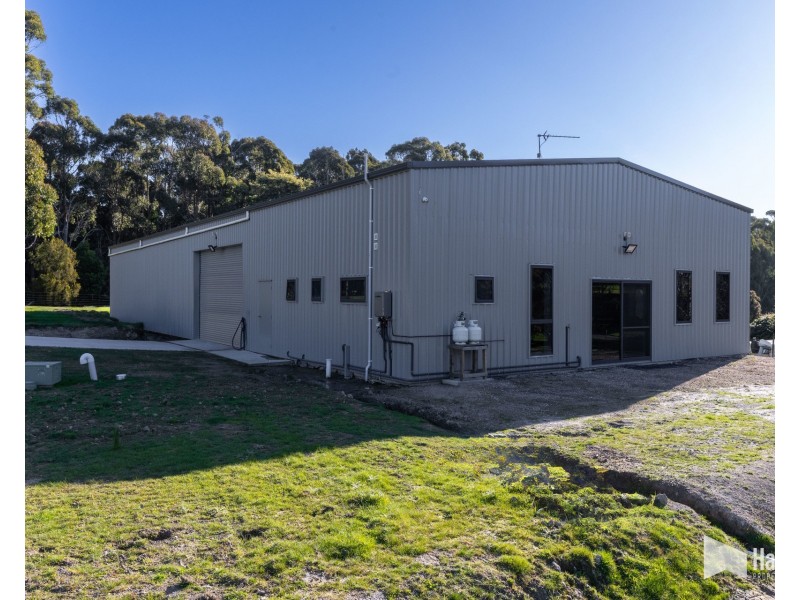 114 Grandview Drive, South Spreyton TAS 7310
