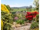15 High Street, Sheffield TAS 7306