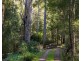 65 Durkins Road, Quoiba TAS 7310