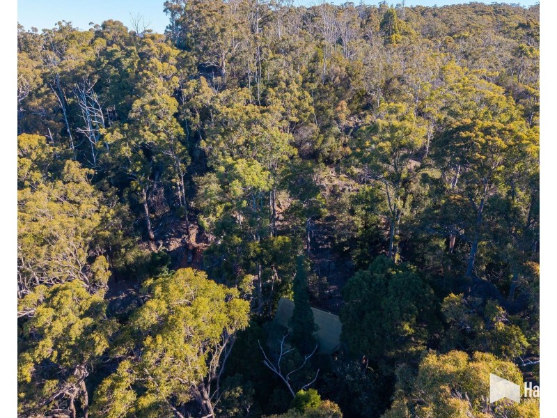 65 Durkins Road, Quoiba TAS 7310