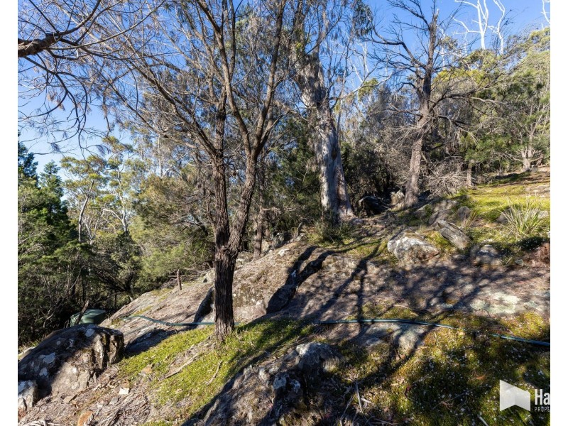 65 Durkins Road, Quoiba TAS 7310
