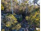 65 Durkins Road, Quoiba TAS 7310