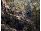 65 Durkins Road, Quoiba TAS 7310