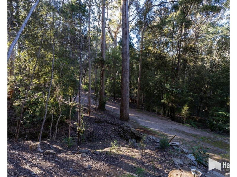65 Durkins Road, Quoiba TAS 7310