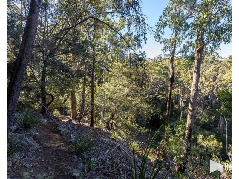 65 Durkins Road, Quoiba TAS 7310